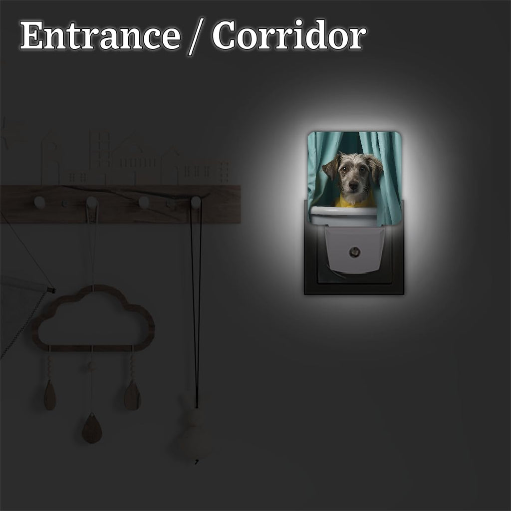 Plug-in Dusk to Dawn Sensor LED Night Light 2 Pack I382636