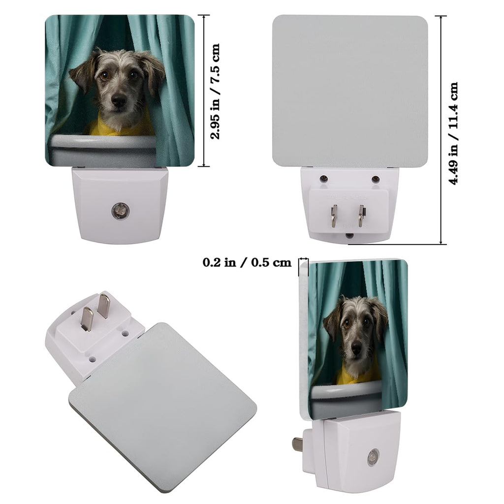 Plug-in Dusk to Dawn Sensor LED Night Light 2 Pack I382636