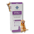 Multivitamin Syrup Nutritional Supplement for Dogs & Cats 200 ml E4386