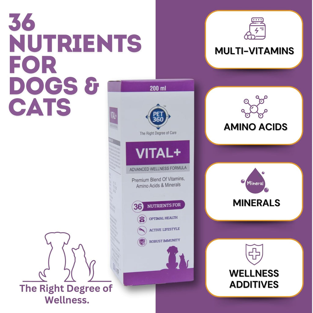 Multivitamin Syrup Nutritional Supplement for Dogs & Cats 200 ml E4386