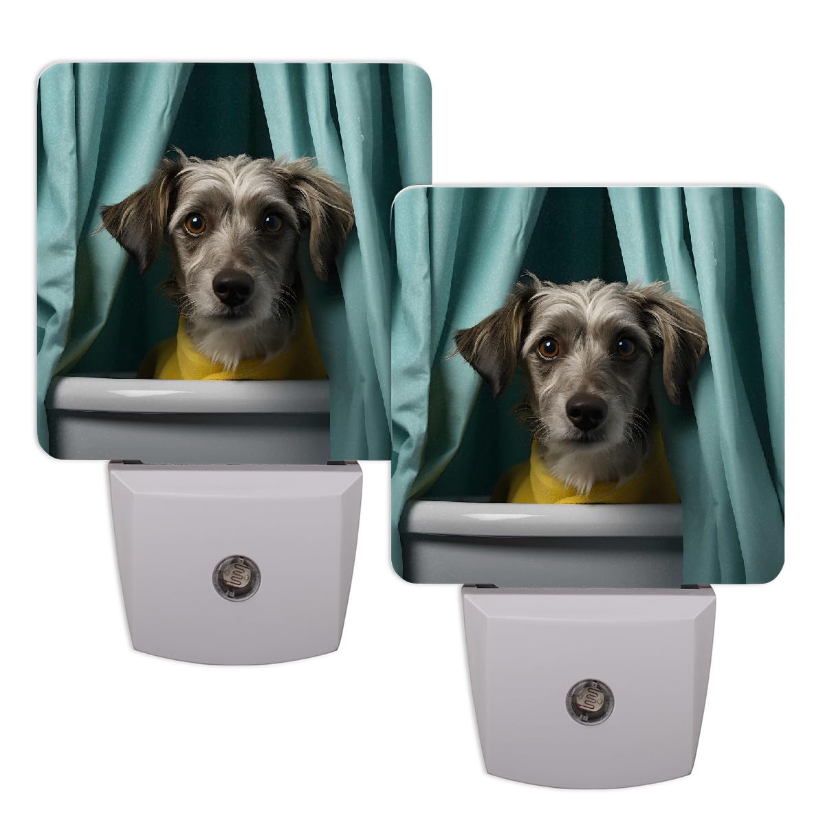 Plug-in Dusk to Dawn Sensor LED Night Light 2 Pack I382636