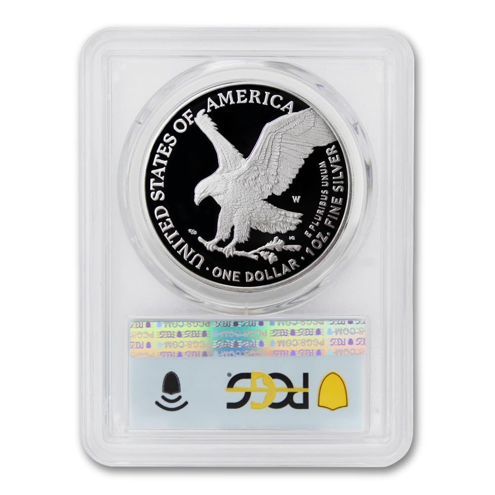 1 oz American Silver Eagle Coin M22205