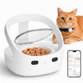 Wet & Dry Food Cat Feeder C79538