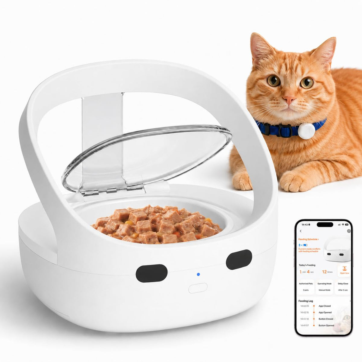 Wet & Dry Food Cat Feeder C79538