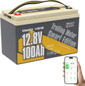 12V 100Ah LiFePO4 Battery X6989