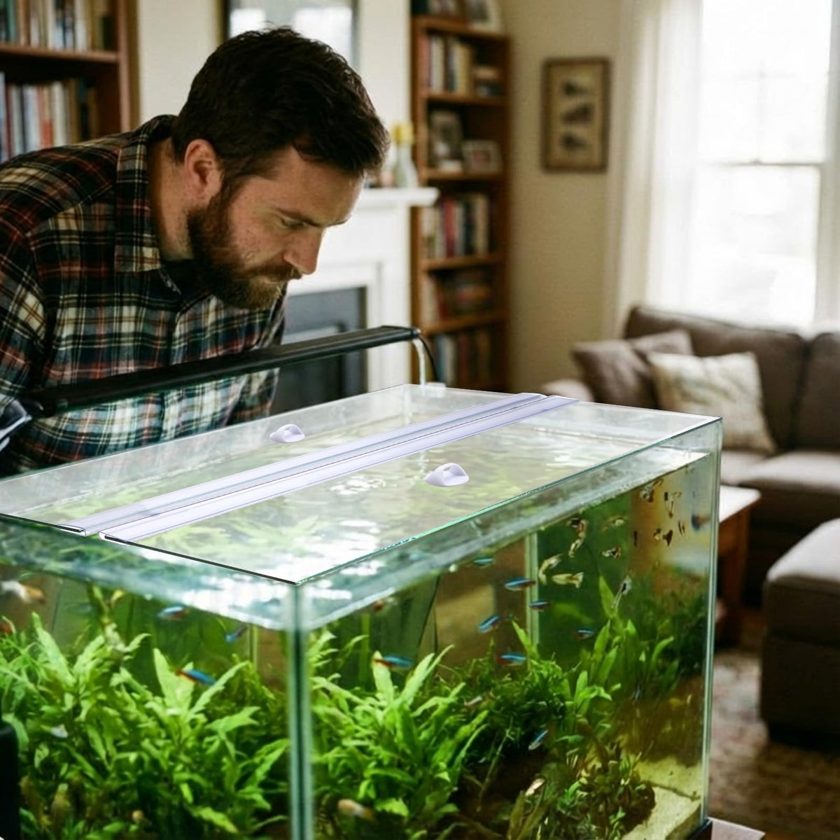 Aquarium Glass Canopy 19.33" x 9.65" x 0.12" F15452