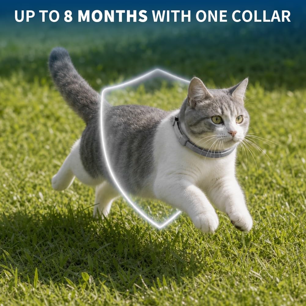 Cat Flea and Tick Collar 4 Pack X8851