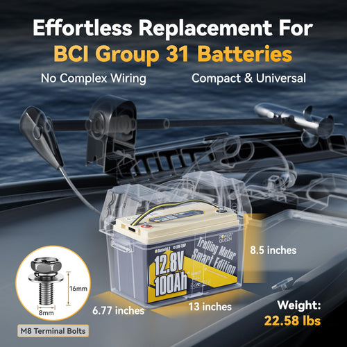 12V 100Ah LiFePO4 Battery X6989