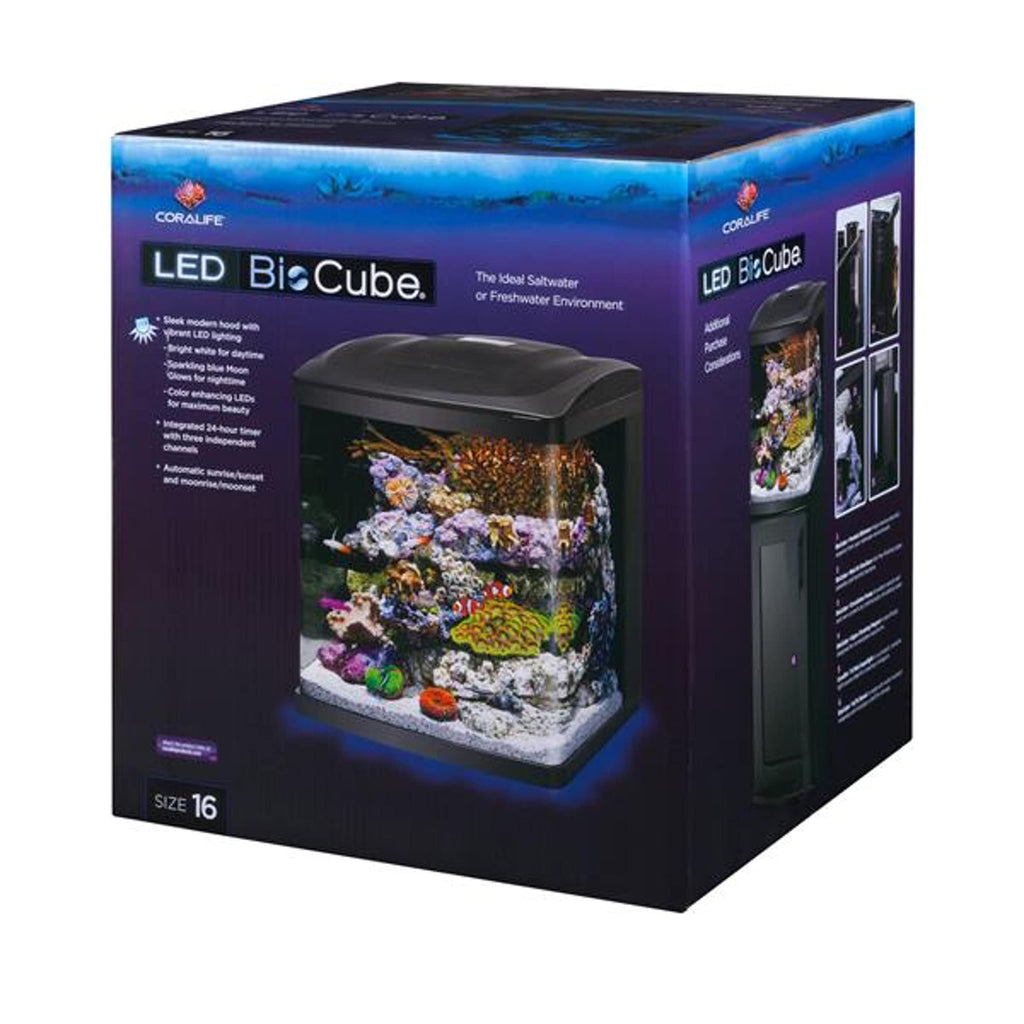 16 Gallon Aquarium Starter Kit Q15686