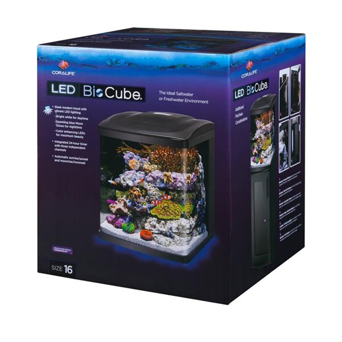 16 Gallon Aquarium Starter Kit Q15686