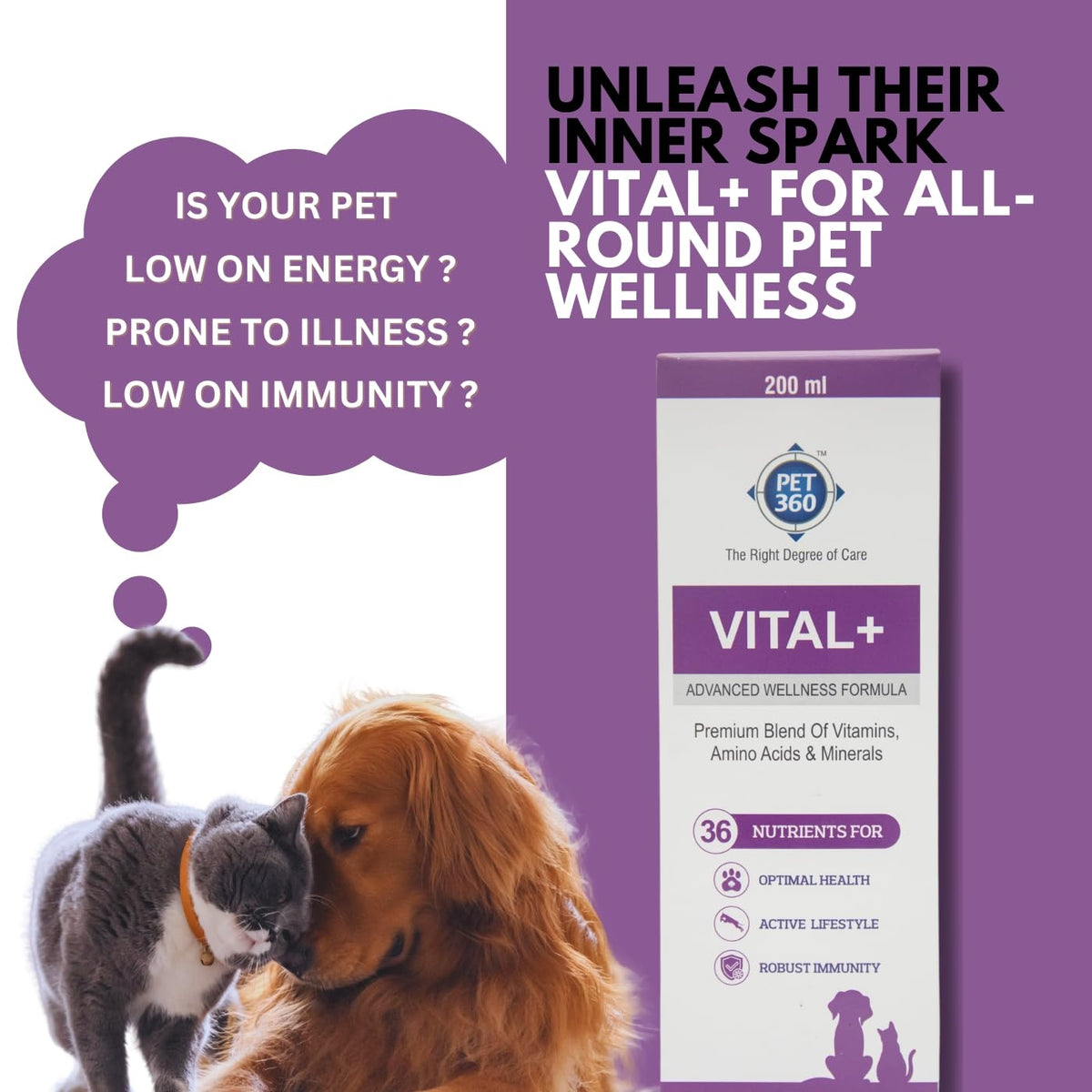 Multivitamin Syrup Nutritional Supplement for Dogs & Cats 200 ml E4386