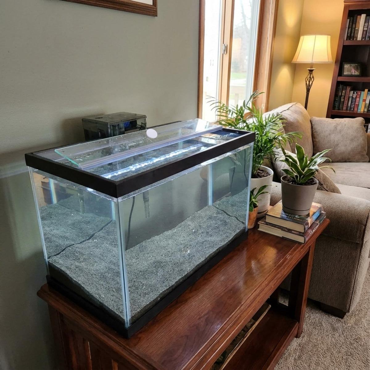 Aquarium Glass Canopy 19.33" x 9.65" x 0.12" F15452