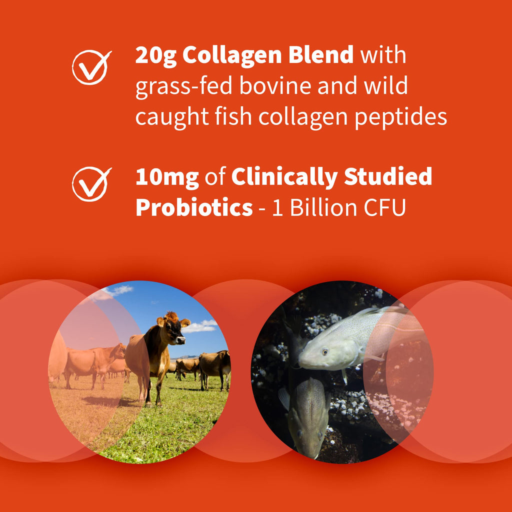 Marine & Grass-Fed Collagen Peptides Powder with Probiotics & BCAAs Unflavored U75437