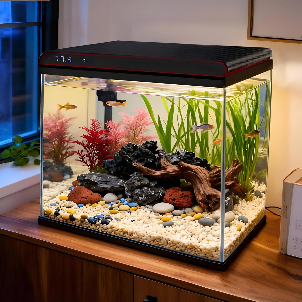 10 Gallon Glass Fish Tank Aquarium Starter Kit O60433