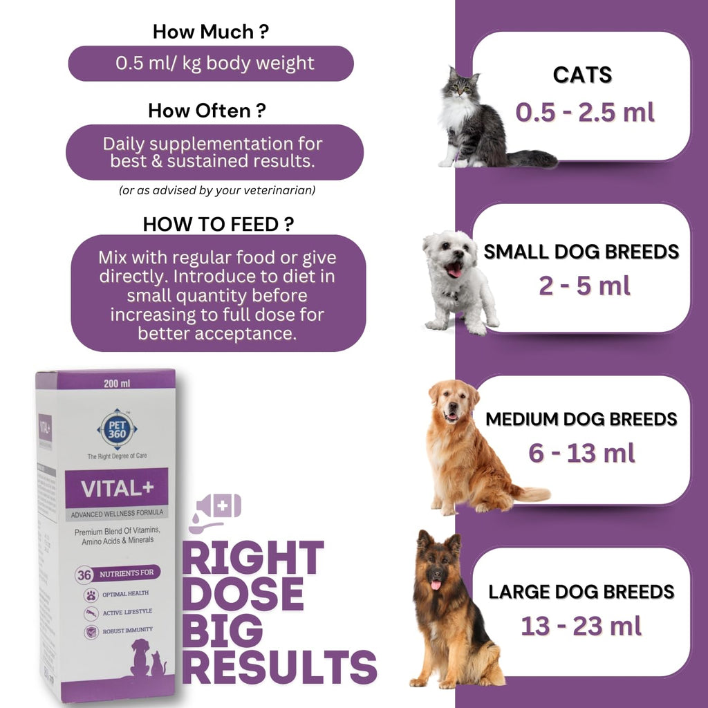 Multivitamin Syrup Nutritional Supplement for Dogs & Cats 200 ml E4386
