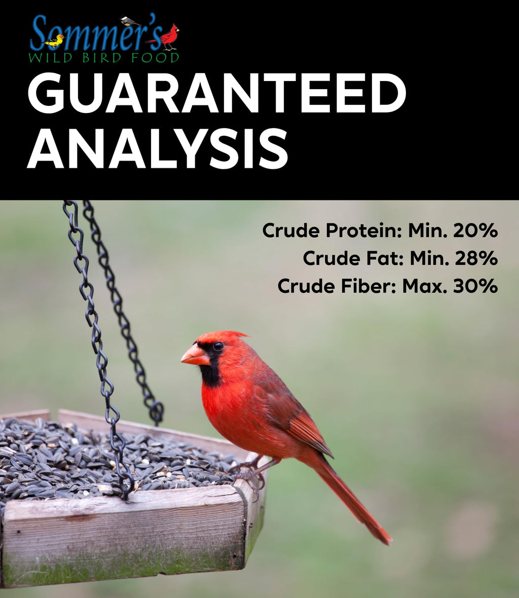 Bird Seed, 20 lb I25067