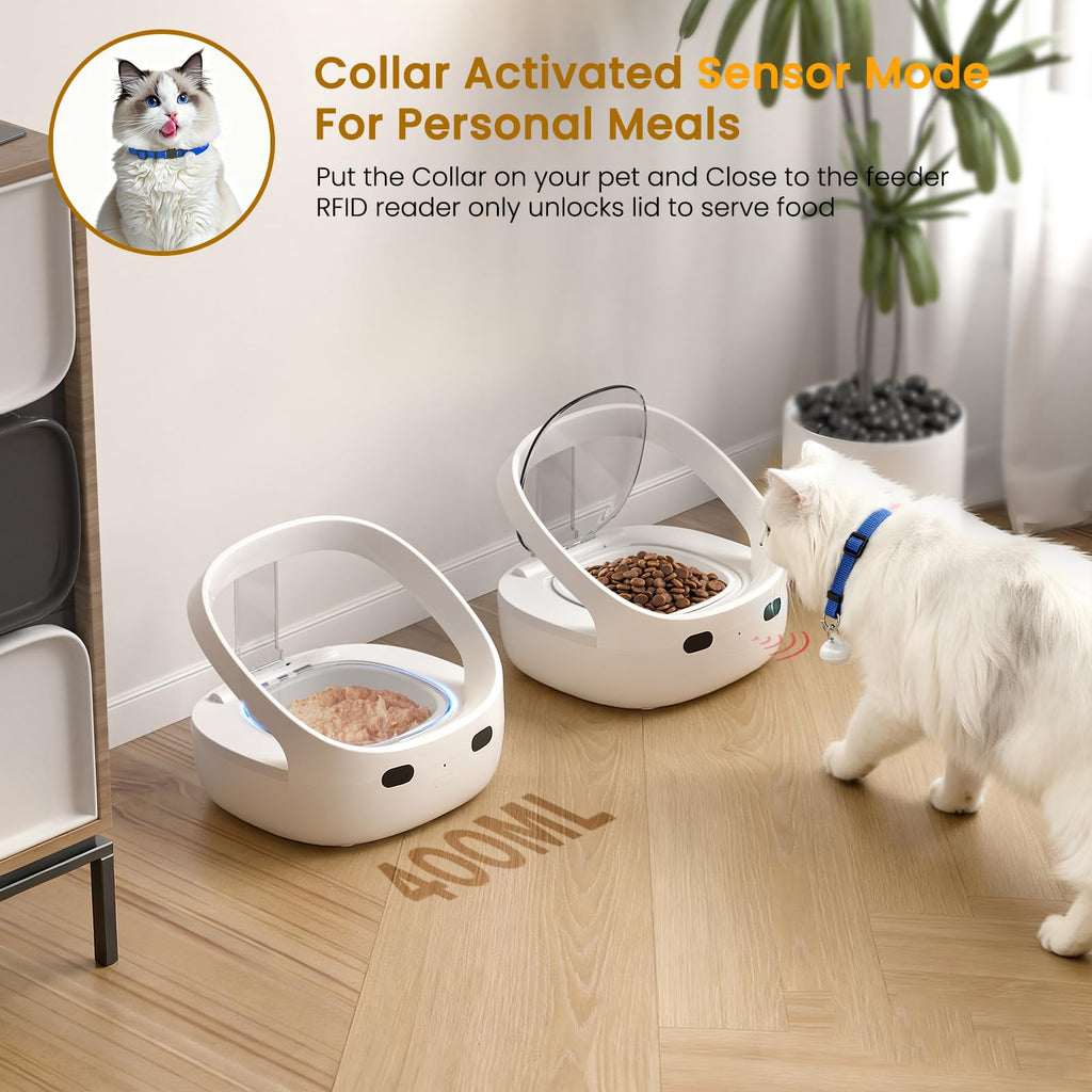 Wet & Dry Food Cat Feeder C79538