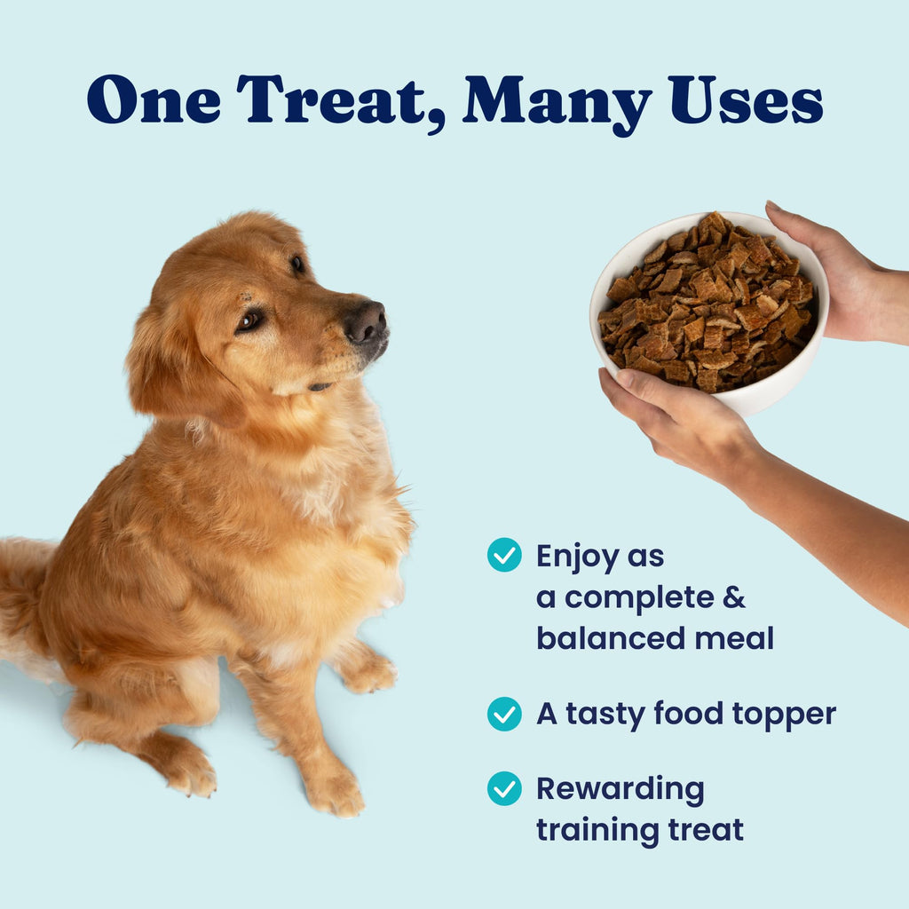 Air Dried Dog Food Topper & Treats Beef 1lb S571529