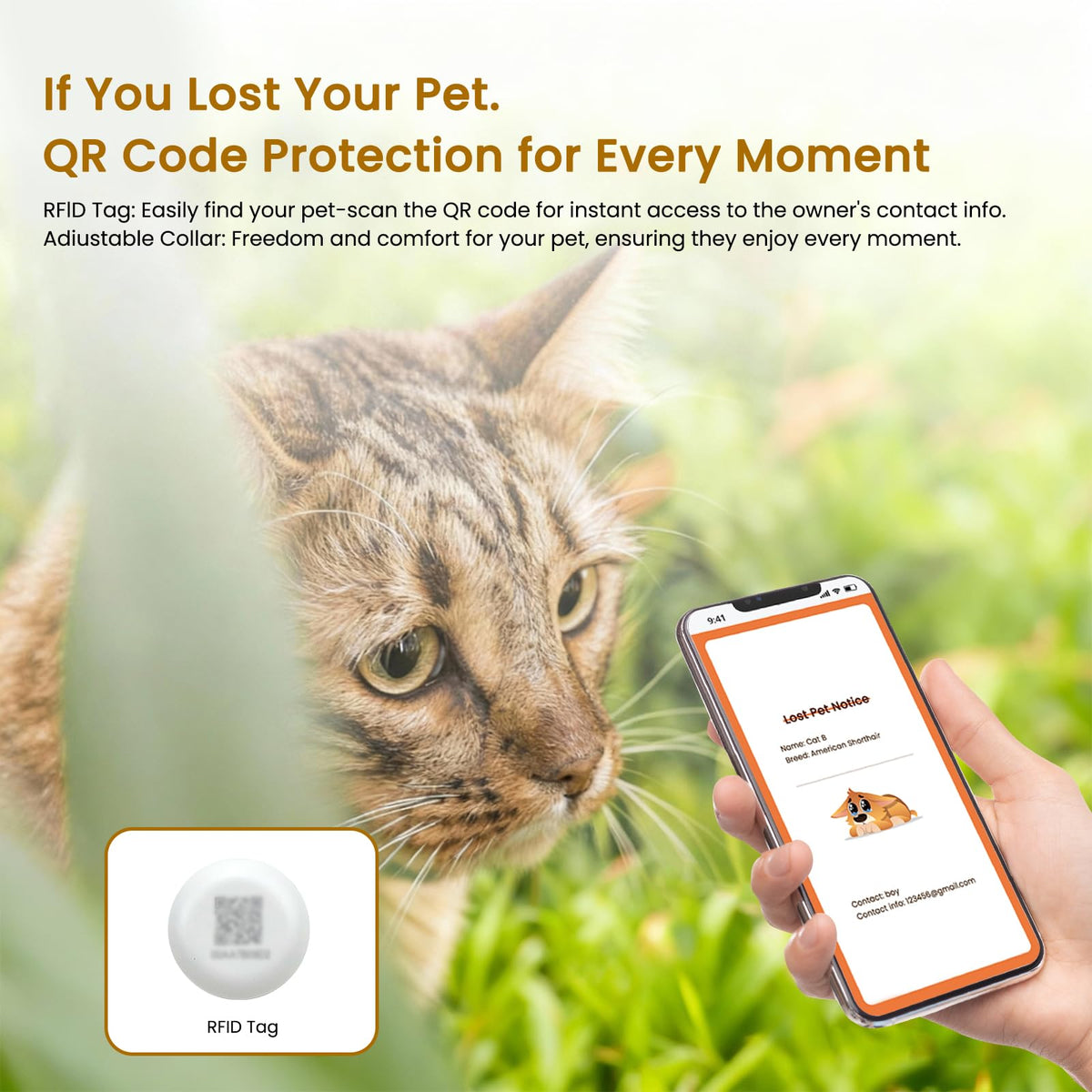 Wet & Dry Food Cat Feeder C79538