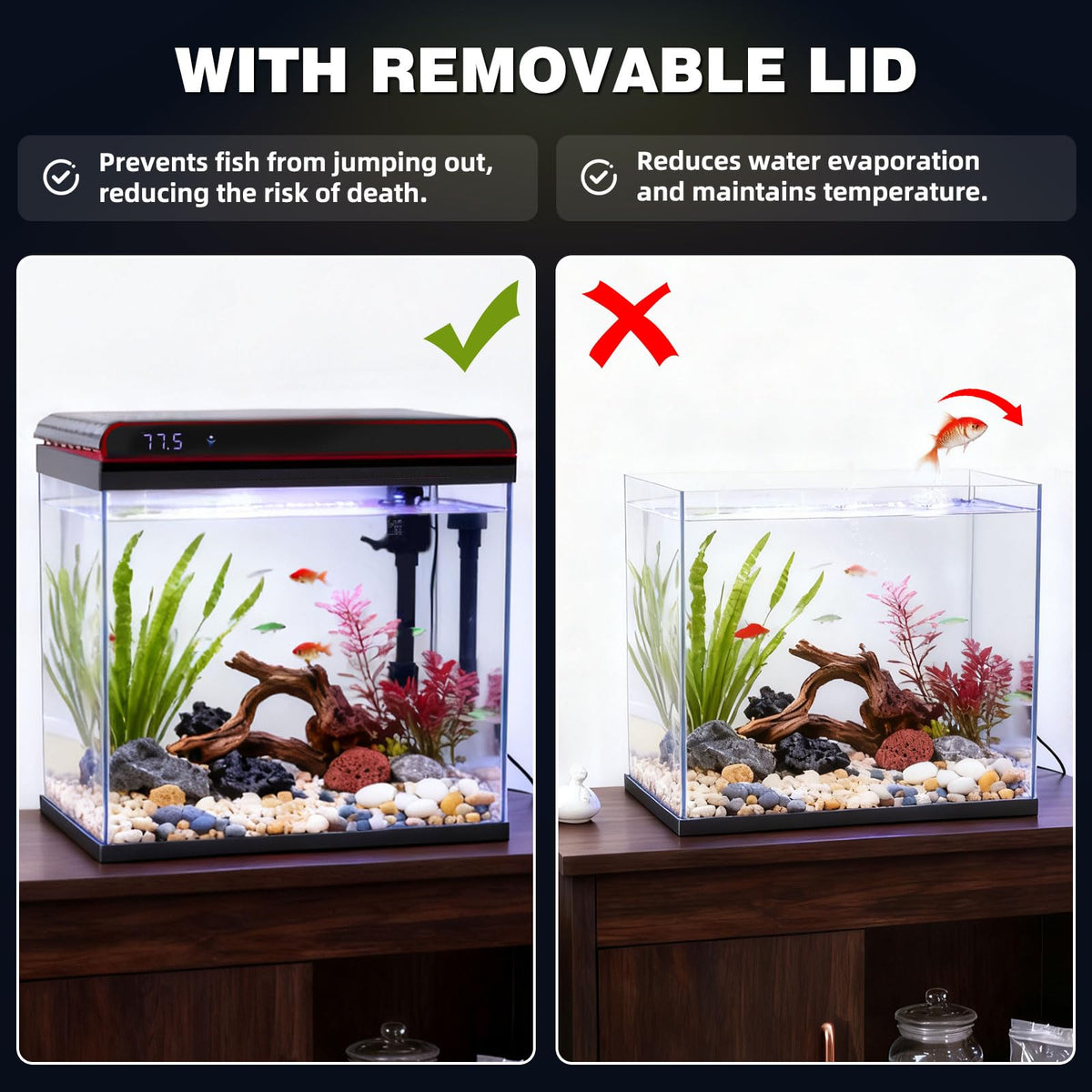 10 Gallon Glass Fish Tank Aquarium Starter Kit O60433