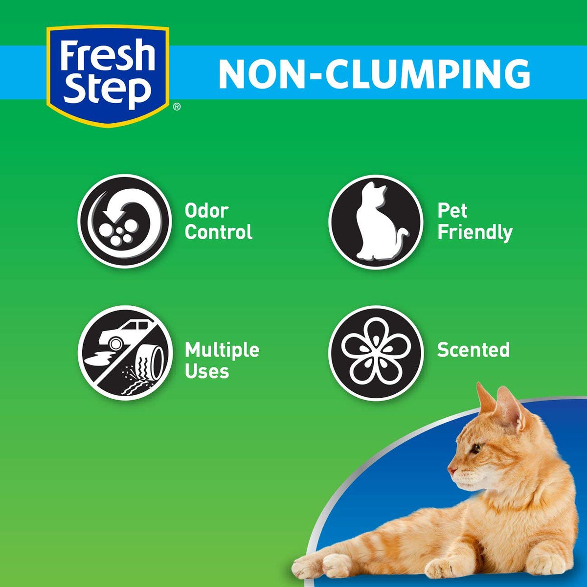 Non Clumping Cat Litter With 7-Day Odor Control, 14 lb. Bag Y648