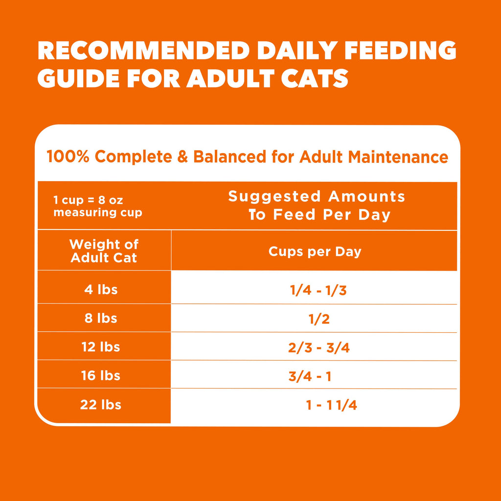 Dry Cat Food, Salmon, 16 lb L659