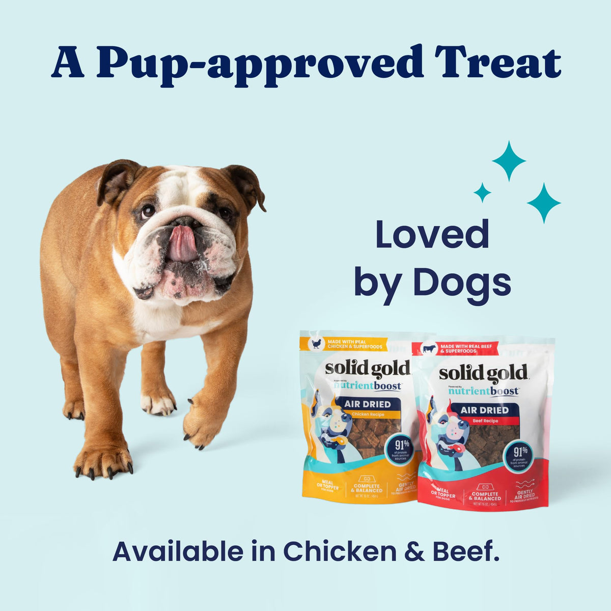 Air Dried Dog Food Topper & Treats Beef 1lb S571529