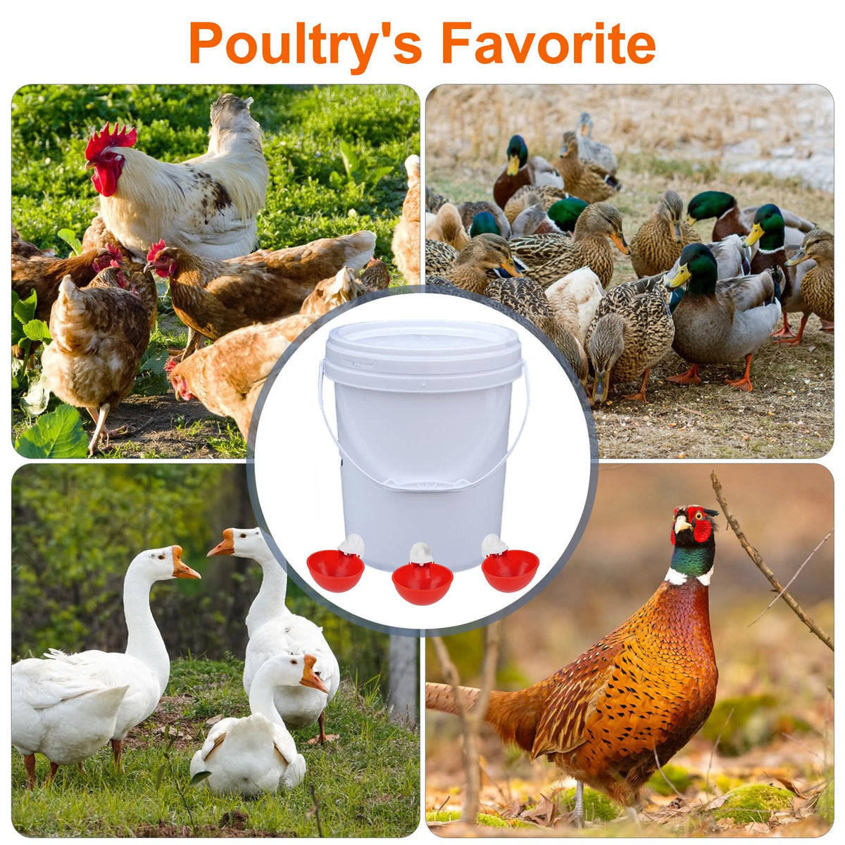 6 Pack Automatic Chicken Waterer Cups E29618