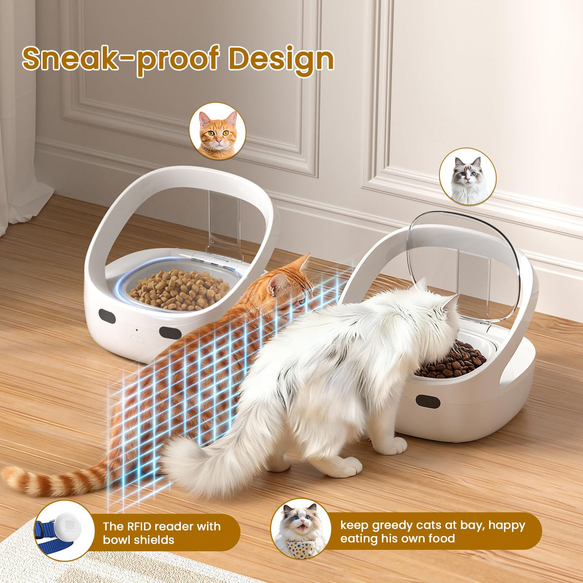 Wet & Dry Food Cat Feeder C79538