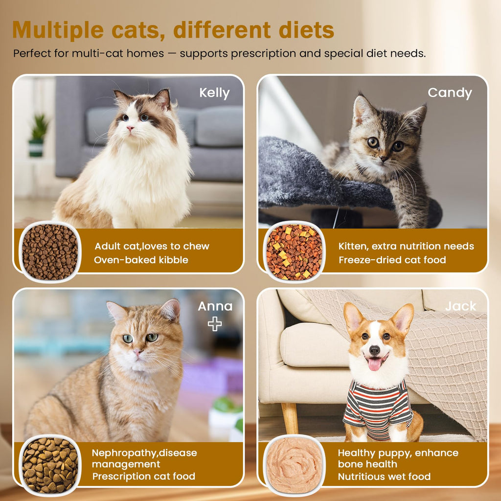 Wet & Dry Food Cat Feeder C79538