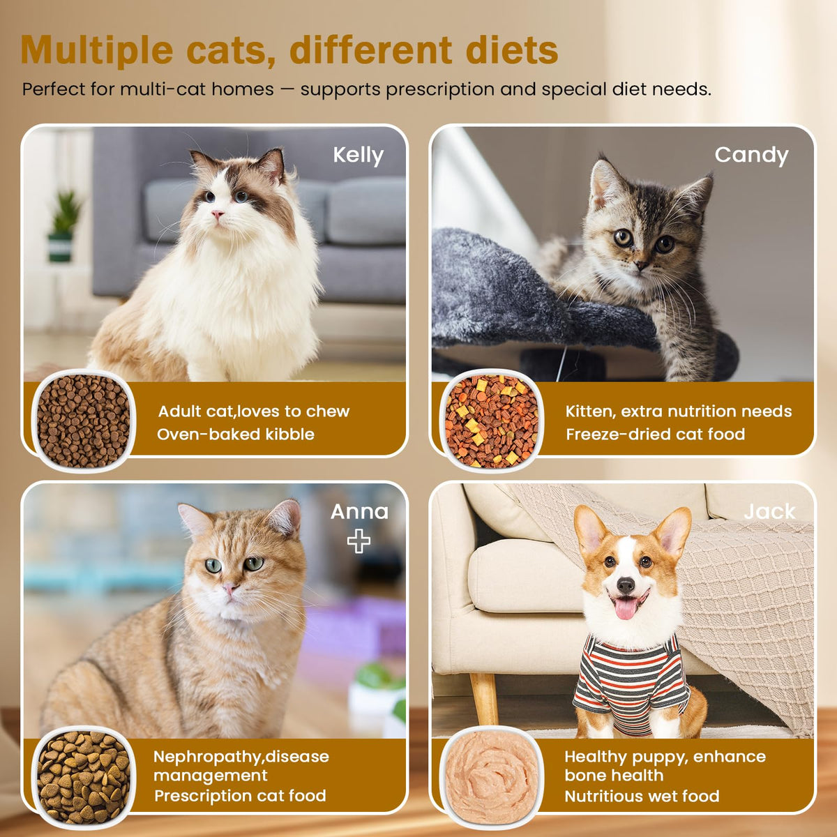 Wet & Dry Food Cat Feeder C79538