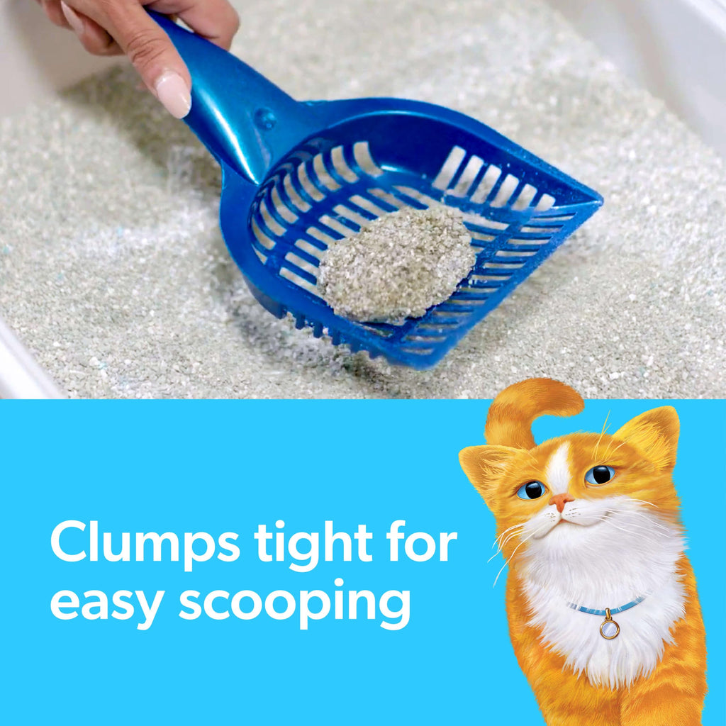 Multi Cat Clumping Cat Litter with Ammonia Block Tech 14 lb X4471
