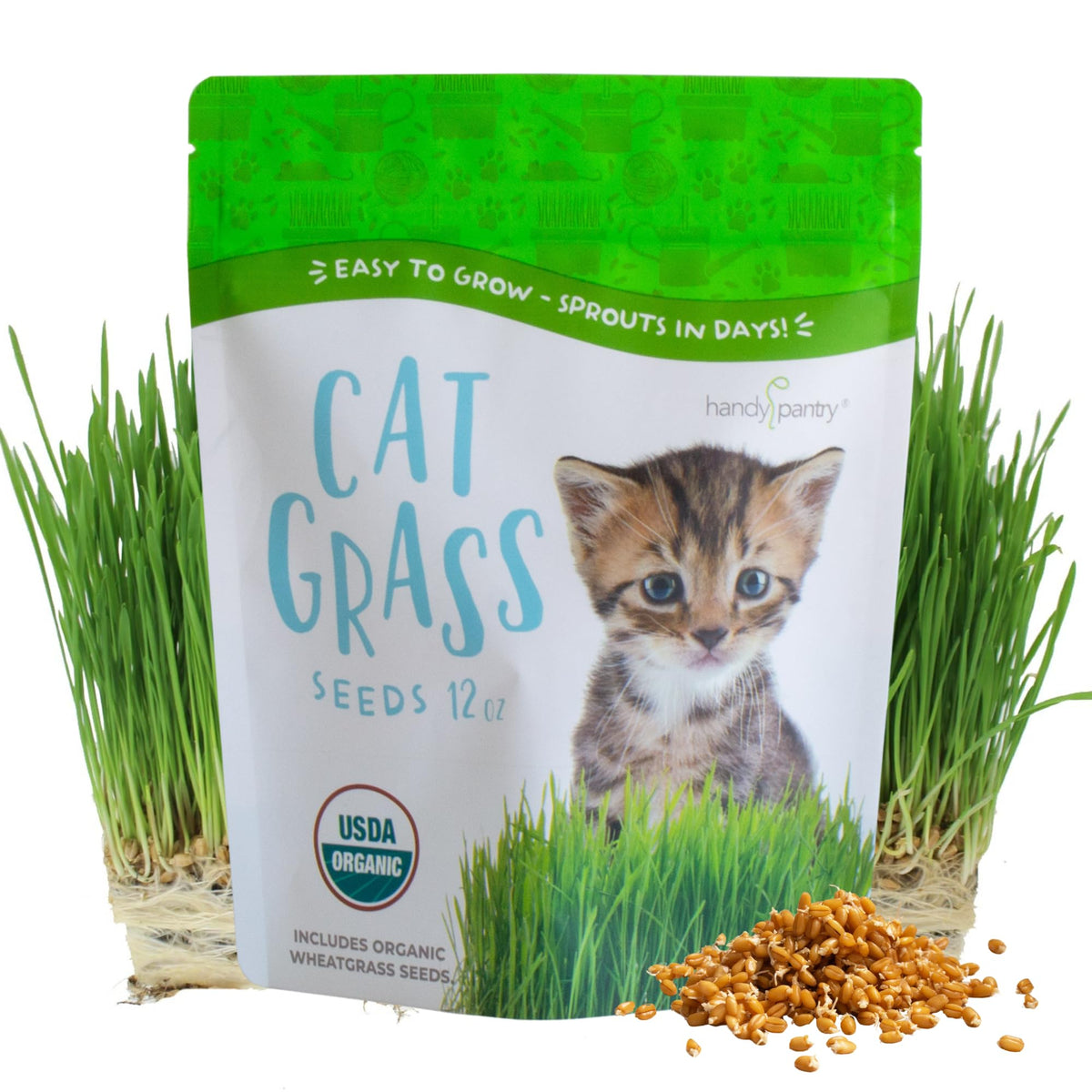 Organic Cat Grass Seed 12 oz Non-GMO Wheatgrass Seeds H8157