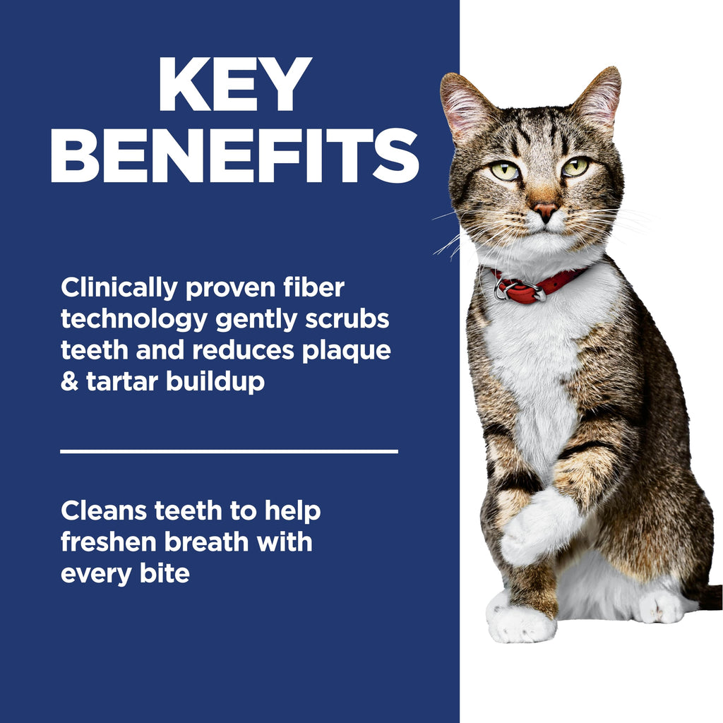 Adult Oral Care Dry Cat Food V158