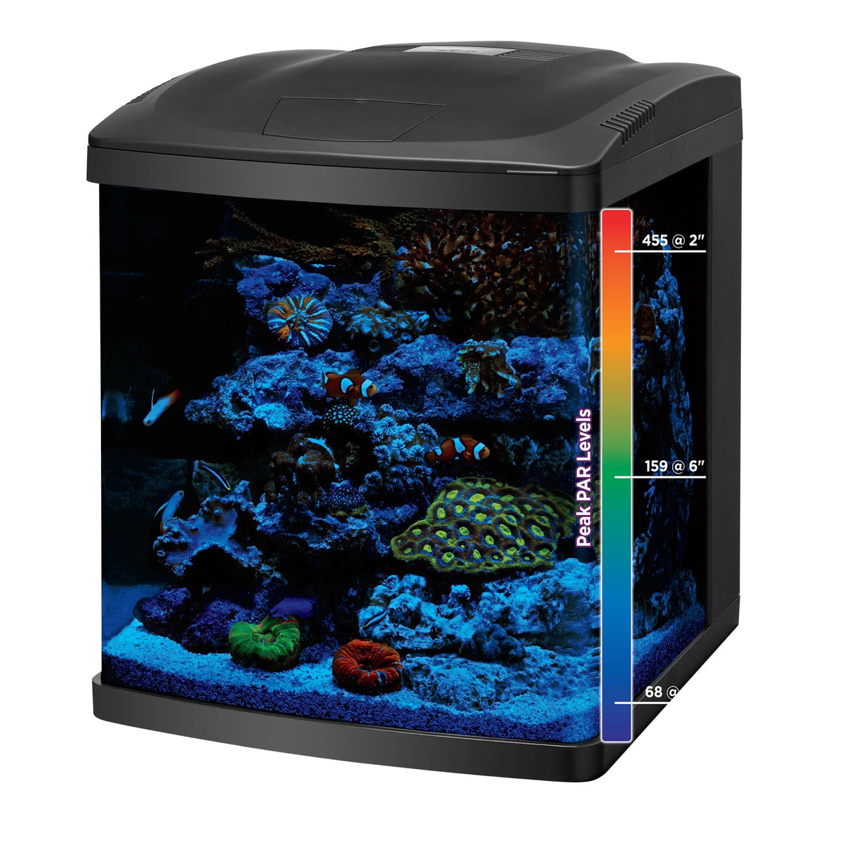 16 Gallon Aquarium Starter Kit Q15686
