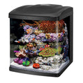 16 Gallon Aquarium Starter Kit Q15686