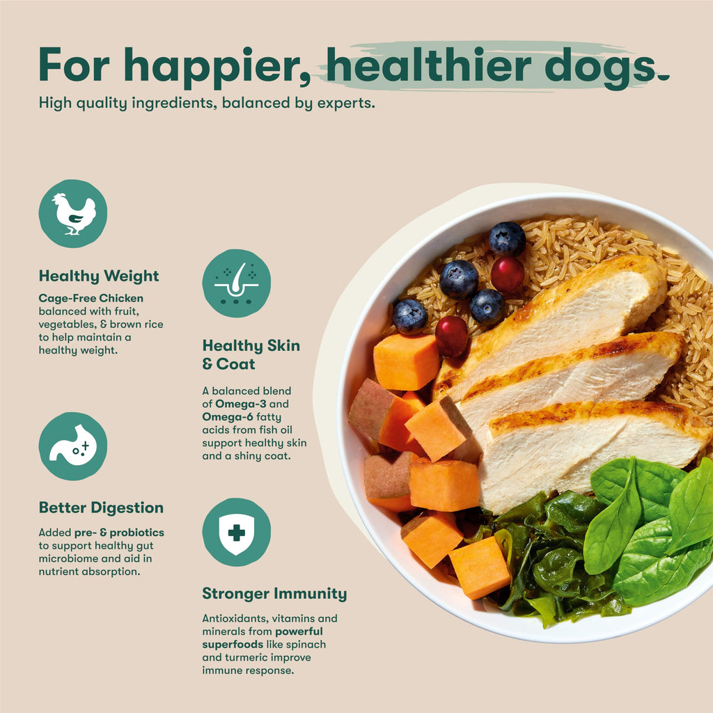 Dry Dog Food Chicken Brown Rice Sweet Potato 4lb D8262