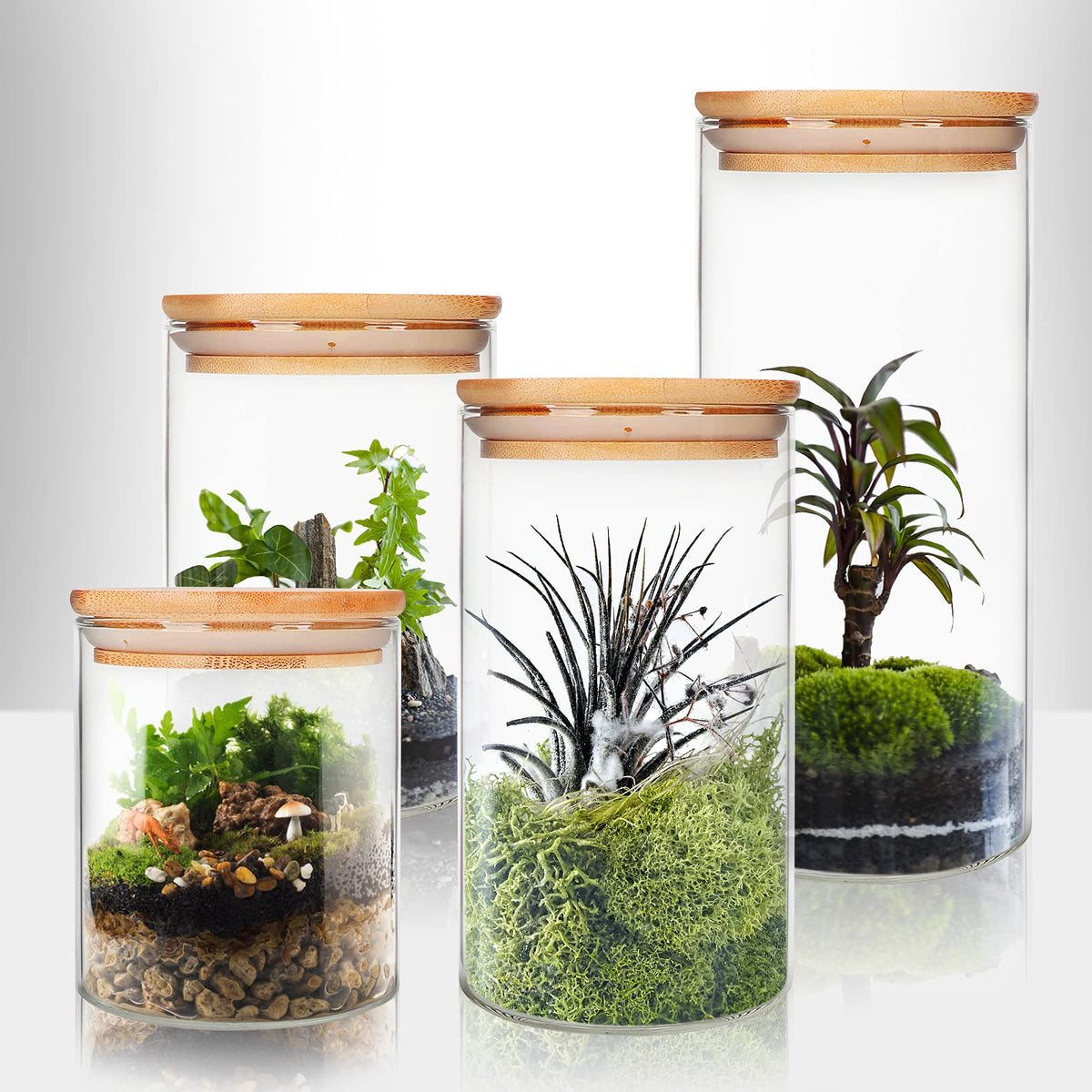 9 Pack 16 oz Glass Jars with Airtight Bamboo Lids B156147