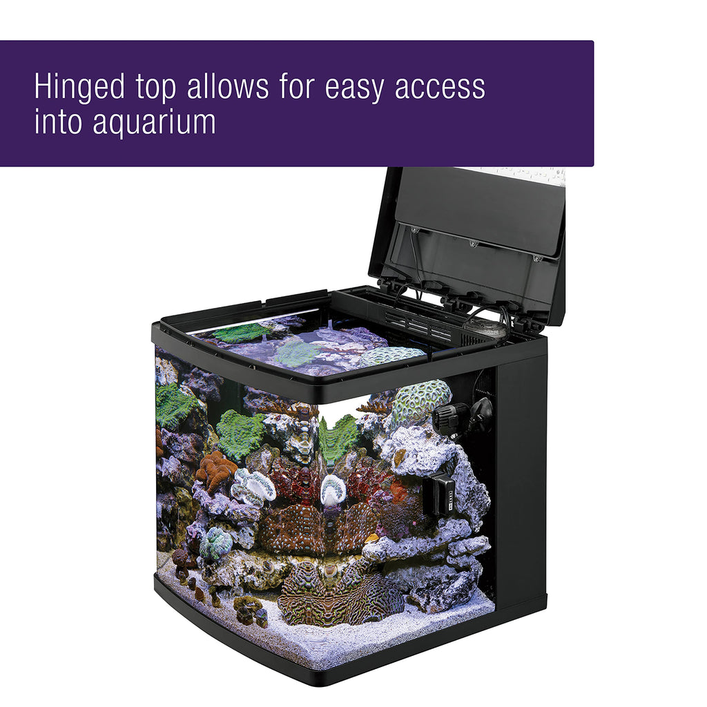 16 Gallon Aquarium Starter Kit Q15686